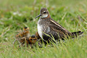 BUITEN BEELD Foto: 65684