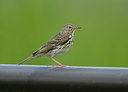 BUITEN BEELD Foto: 65699