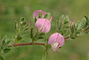 BUITEN BEELD Foto: 65701