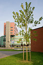 BUITEN BEELD Foto: 65705
