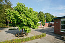 BUITEN BEELD Foto: 65718