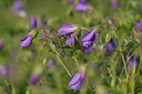 BUITEN BEELD Foto: 65737