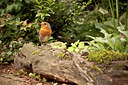 BUITEN BEELD Foto: 65813
