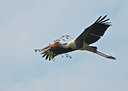 BUITEN BEELD Foto: 65933