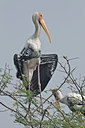 BUITEN BEELD Foto: 65937