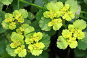 BUITEN BEELD Foto: 65981