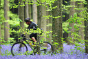 BUITEN BEELD Foto: 66008