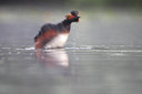 BUITEN BEELD Foto: 66017