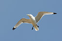 BUITEN BEELD Foto: 66021