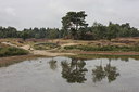 BUITEN BEELD Foto: 66086