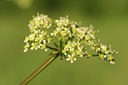 BUITEN BEELD Foto: 66104