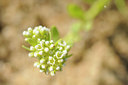 BUITEN BEELD Foto: 66138