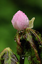 BUITEN BEELD Foto: 66184