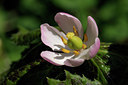 BUITEN BEELD Foto: 66189