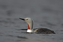 BUITEN BEELD Foto: 66230