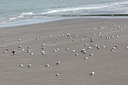 BUITEN BEELD Foto: 66245