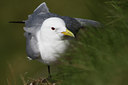 BUITEN BEELD Foto: 66260