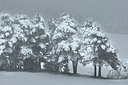 BUITEN BEELD Foto: 66267