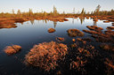 BUITEN BEELD Foto: 66280