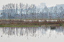BUITEN BEELD Foto: 66282