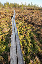BUITEN BEELD Foto: 66287