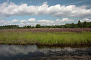 BUITEN BEELD Foto: 66310