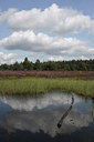 BUITEN BEELD Foto: 66313