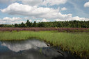 BUITEN BEELD Foto: 66314