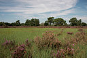 BUITEN BEELD Foto: 66319