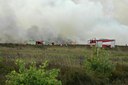 BUITEN BEELD Foto: 66347