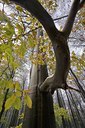 BUITEN BEELD Foto: 66405