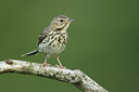 BUITEN BEELD Foto: 66467