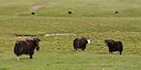 BUITEN BEELD Foto: 66487