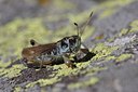 BUITEN BEELD Foto: 66488