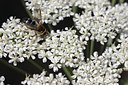 BUITEN BEELD Foto: 66536