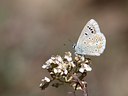 BUITEN BEELD Foto: 66538