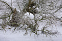 BUITEN BEELD Foto: 66562
