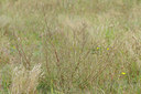 BUITEN BEELD Foto: 66616