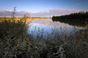 BUITEN BEELD Foto: 66734
