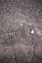 BUITEN BEELD Foto: 66744