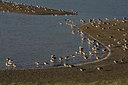 BUITEN BEELD Foto: 66748