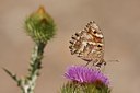 BUITEN BEELD Foto: 66774
