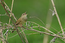 BUITEN BEELD Foto: 66777