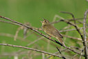 BUITEN BEELD Foto: 66784