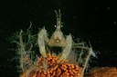 BUITEN BEELD Foto: 66809