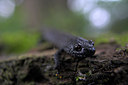 BUITEN BEELD Foto: 66830