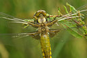 BUITEN BEELD Foto: 66840