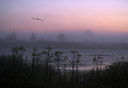 BUITEN BEELD Foto: 66857