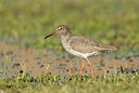 BUITEN BEELD Foto: 66877