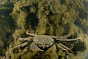 BUITEN BEELD Foto: 66891